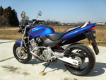 �������� �� ������ �������� Honda Hornet600 1998 ���� 9